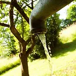 Garni Winzerhof Hoedl 게스트하우스 Wagna