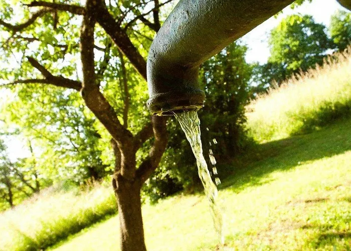 Garni Winzerhof Hoedl بيت ضيافة Wagna